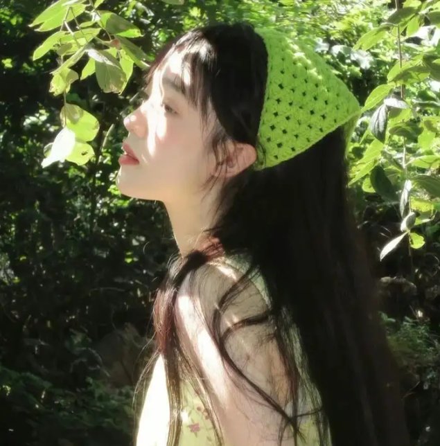 雪花双蕊 海报